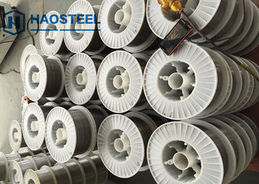 304 316L 0.05mm ~ 10mm Roestvrij staaldraad 1,4301 1,4404 Heldere Glanzend eindigen