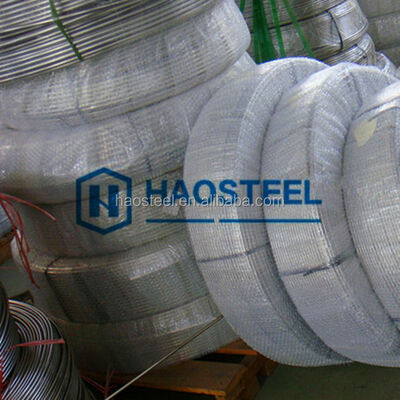 SGS en BV goedgekeurde 202 roestvrijstalen buizen