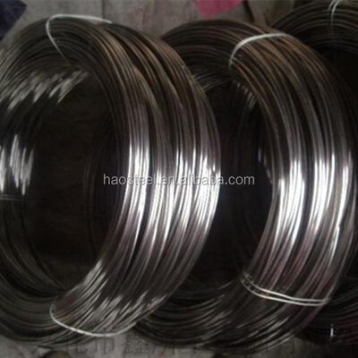 Roestvrij staaldraad 304 316 316L 316Ti 309s 310S Zacht Helder Mat 0.05-20mm
