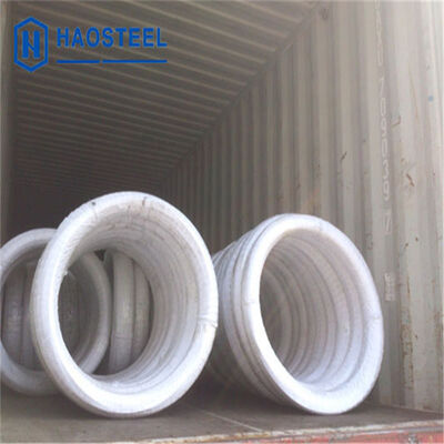 304 316L 410 0,07mm 0,13mm 1mm 2mm Zacht EN/AISI Roestvrij Staaldraad