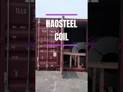 De Strook van de het Roestvrije staalrol van de moeheidsweerstand SUS631 304